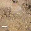 Digitalis EP [Jacket]