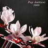 Pop Ambient 2009 [Jacket]