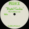 Digital Garden (Adam Goldstone Remix) [Jacket]