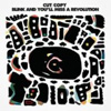 Blink & You'll Miss A Revolution [Jacket]