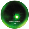 Traversable Wormhole Vol.9 [Jacket]