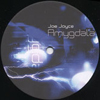 Amygdala EP [Jacket]
