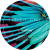 Hurting (Carl Craig Mixes) [Jacket]