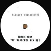 The Wonderer Remixes [Jacket]