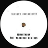 The Wonderer Remixes [Jacket]