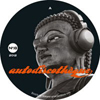 Buddha's Watching / S.T.U.P.I.D [Jacket]