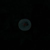 Mediterraneo (DJ Harvey Remix) [Jacket]