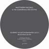 Journey in Stachidananda / Blue Nile [Jacket]