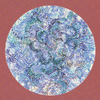 Loin Des Yuex EP [Jacket]