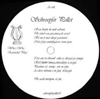 Who Is Not Who (Vinyl Only) [Jacket]