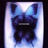 Swallowtail Butterfly`̂` [Jacket]