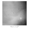 Tunnels / First Light [Jacket]