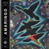 Amaringo [Jacket]