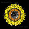 Landscape / Head Music [Jacket]